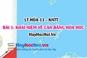 Phản ứng một chiều, phản ứng thuận nghịch là gì? hằng số cân bằng hóa học, các yếu tố ảnh hưởng? Hóa 11 bài 1 KNTT